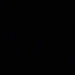 Meet your Posher, Larry